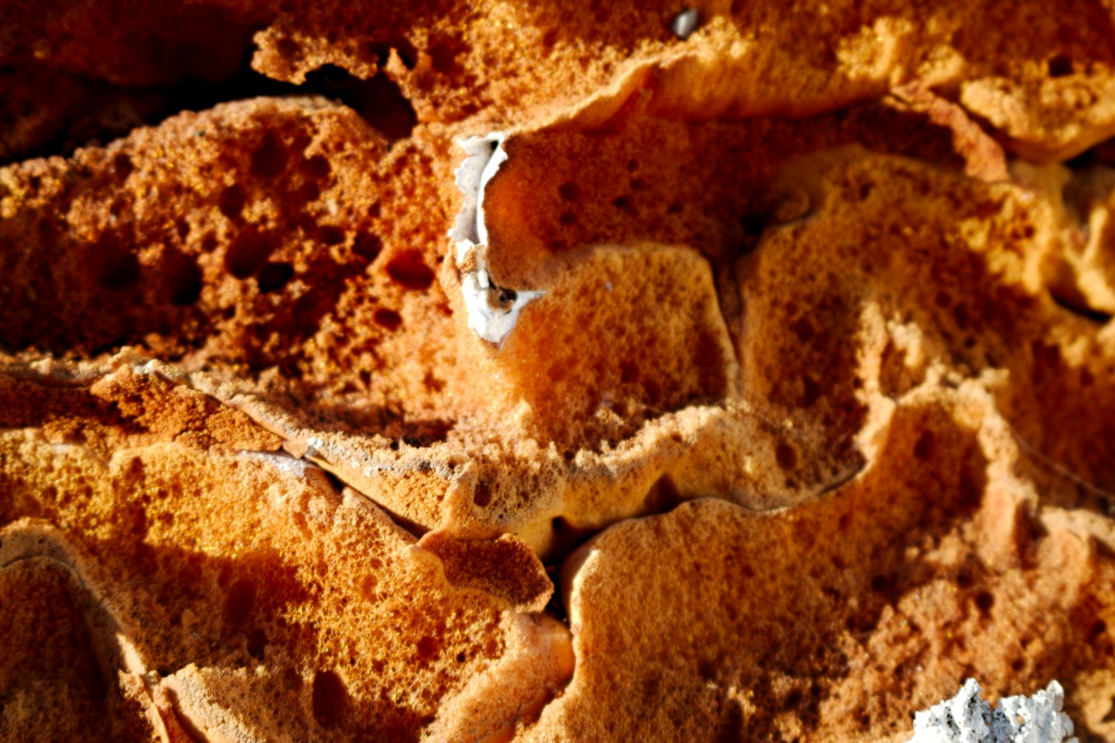 Quand le soufre organique agit sur la santé